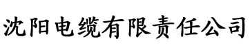 亚洲av人人夜夜澡人人电缆厂logo